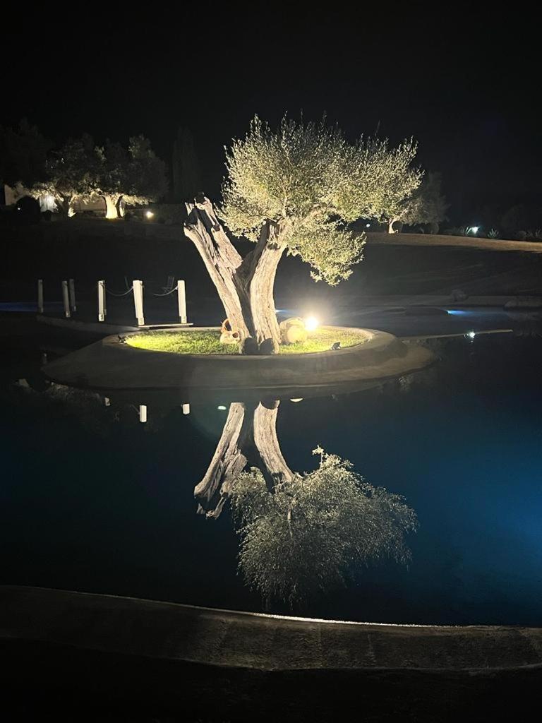 Agriturismo Cerrosughero Canino Eksteriør billede
