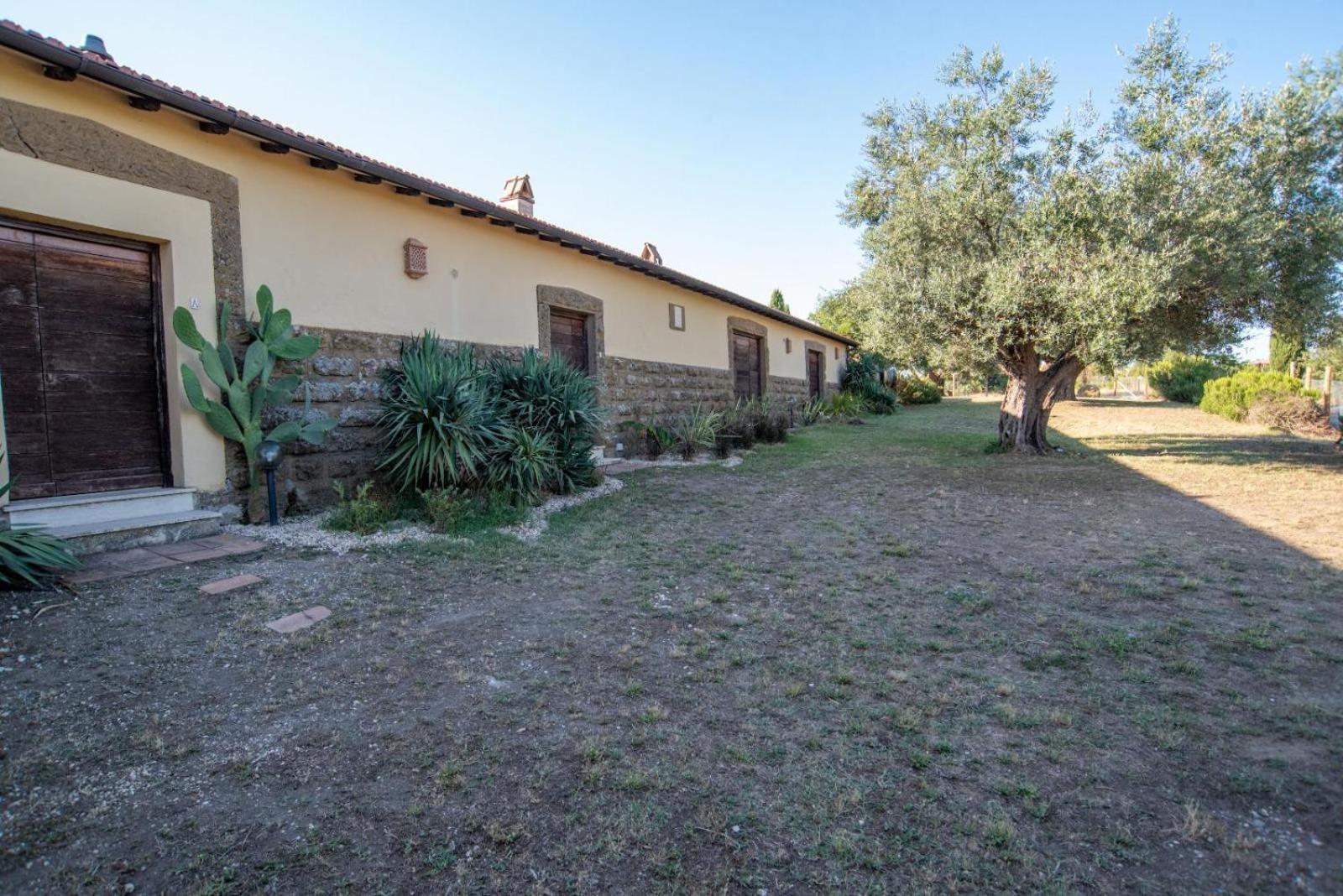 Agriturismo Cerrosughero Canino Eksteriør billede
