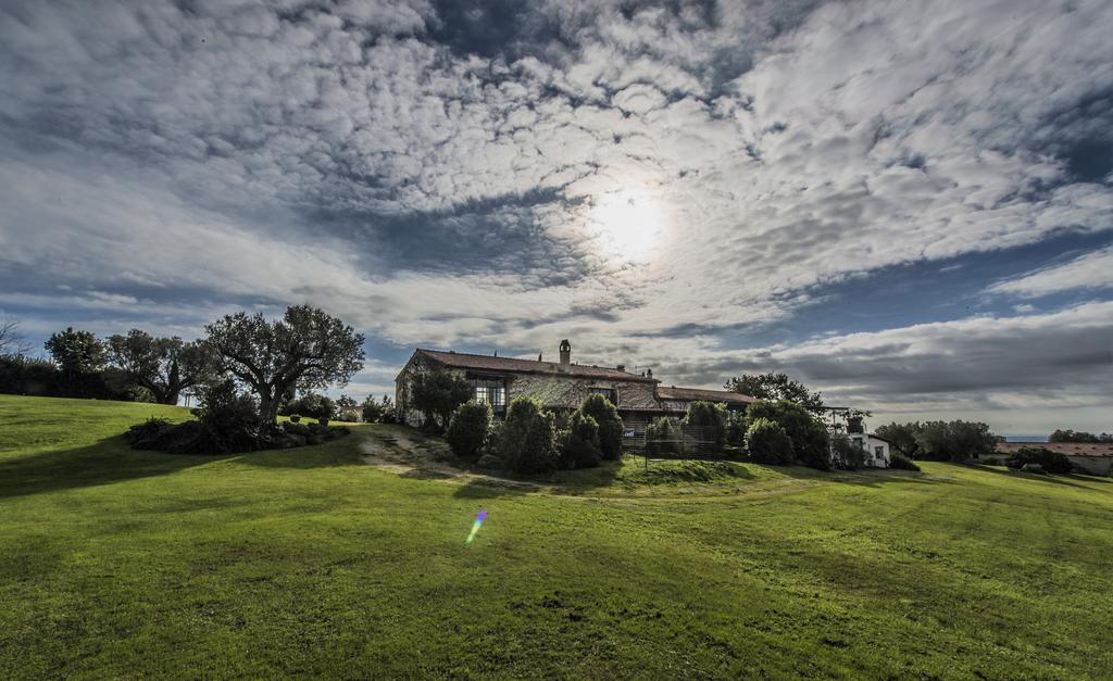 Agriturismo Cerrosughero Canino Eksteriør billede